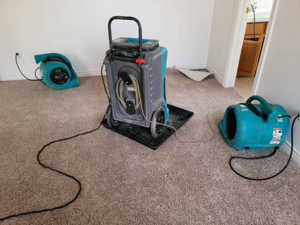Best Carpet water damage restoration  in Shorewood Hills, WI