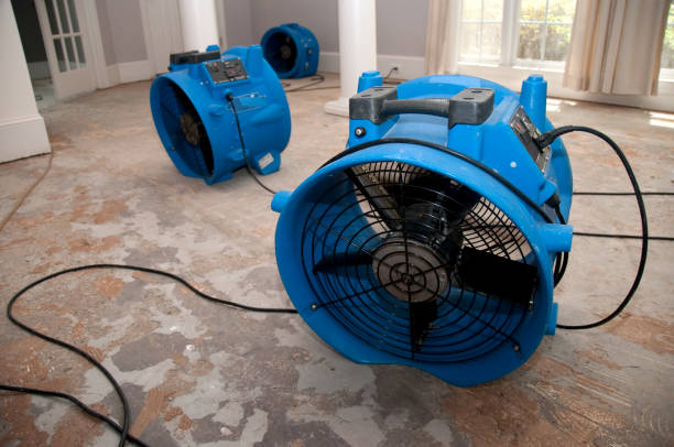 Best Water damage restoration insurance claims  in Shorewood Hills, WI