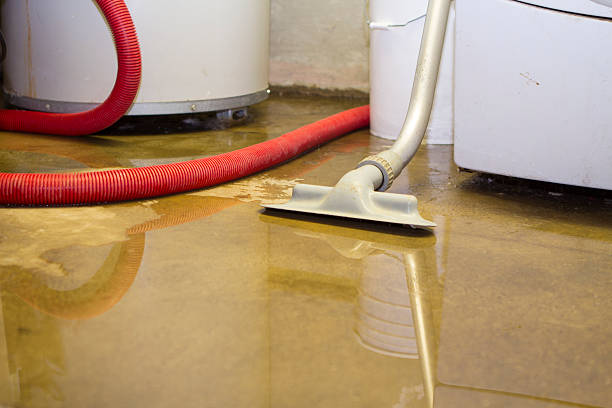Best Residential water damage restoration  in Shorewood Hills, WI