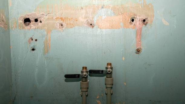 Best 24/7 water damage repair  in Shorewood Hills, WI